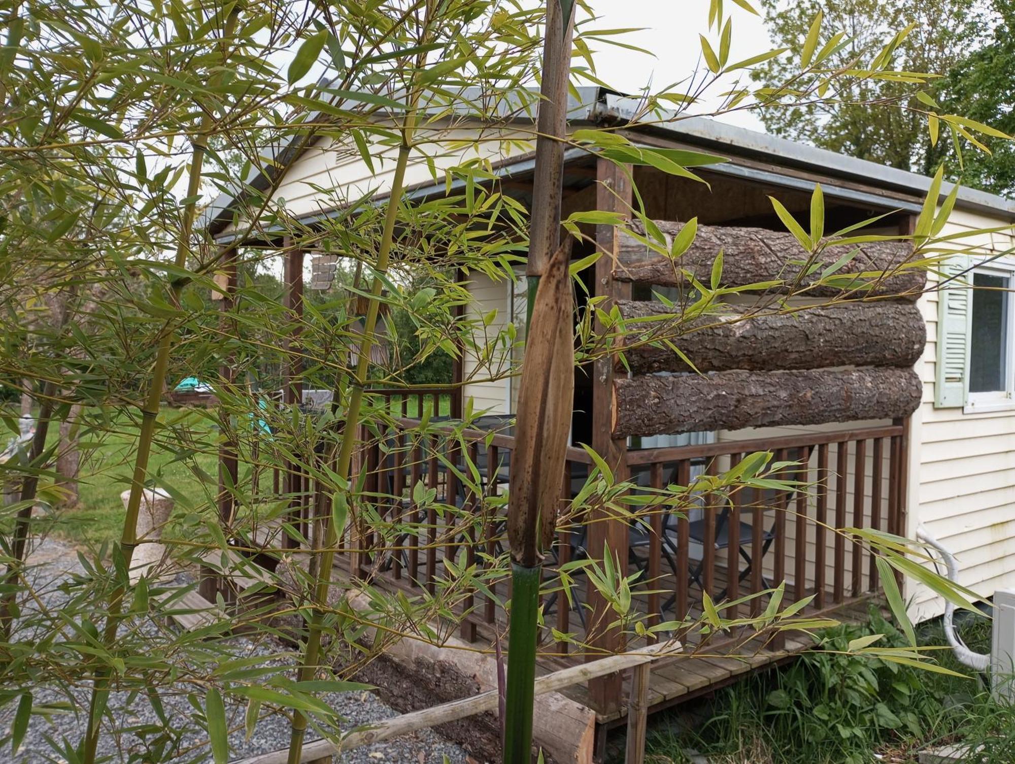 Cabanon Grenouille - Le Pal Saint-Martin-des-Lais Exterior foto